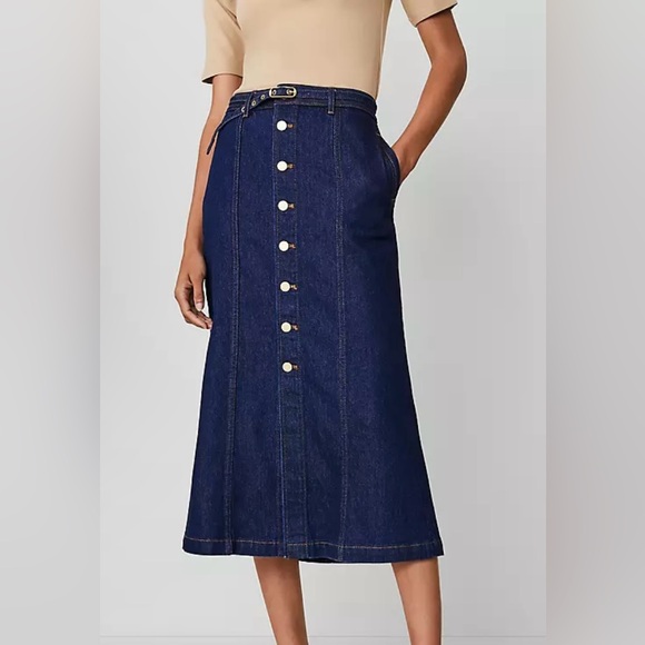 Ann Taylor Dresses & Skirts - Ann Taylor Dark Blue A-Line Skirt with Button Detail